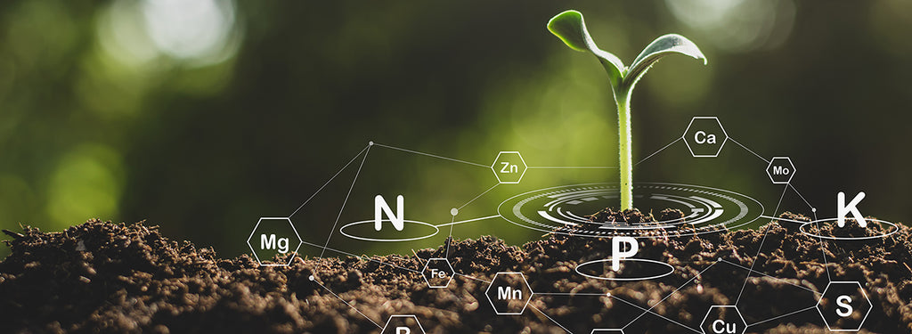 Soils